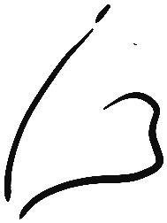 Image of the occurrence